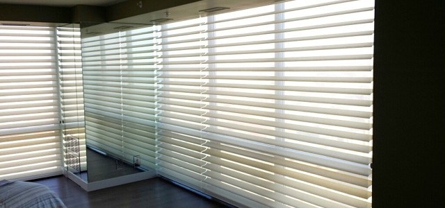 Hunter Douglas Silhouettes in master bedroom. They open and close for privacy and light control.